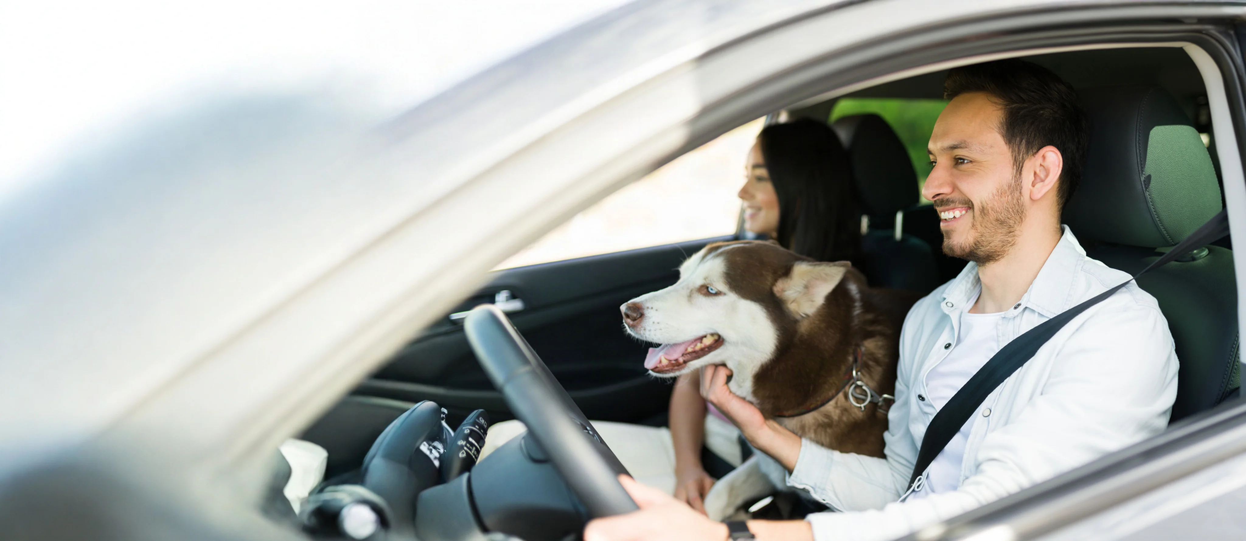 Un hombre conduce un auto acompañado por su perro
